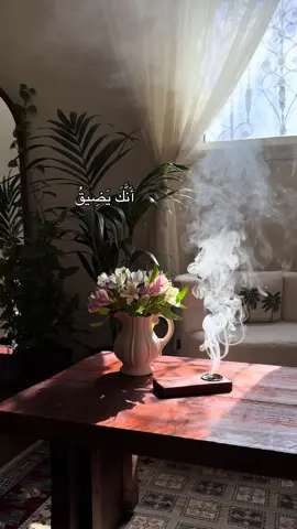 حيـاة🤍 #explore #اكسبلورexplore #ورد #قران_كريم #قهوة_مختصة 