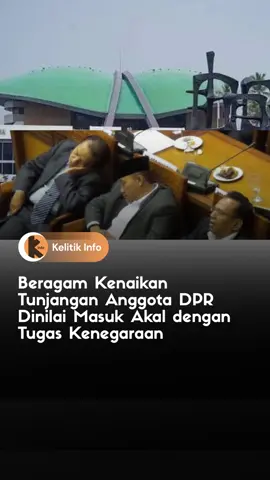 Tunjangan Anggota Dewan dinilai masuk akal karena tugas kenegaraan  #kelitikinfo #tunjangandpr #tiktokberita #beranda #dpr #mpr #beritaterkini
