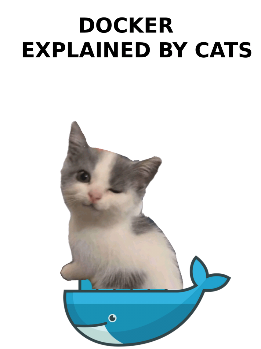 Docker explained by Cats. follow for more #docker #cat #coding #programming #devops 