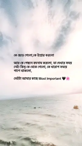 😌🌸   #fypviral  シviral #fypシforyoupage #unfreezemyacount  #supportplzzzz #trendingvideo #statusvideo  #viralplz #tiktokofficial #growmyaccount #sadstatus 