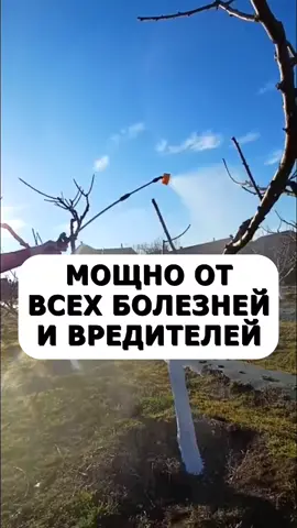 Мощное средство от всех болезней и вредителей в саду #дача #сад #огород #урожай #вредители 
