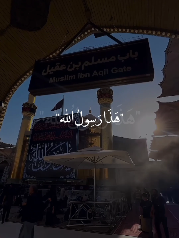 صوت الأسىٰ ينعاه😔💔. #يارسول_الله💔  #يا_أمير_المؤمنين💔 #يافاطمة_الزهراء💔   #يا_أهل_البيت💔 #خادم_المذبوح🤎 