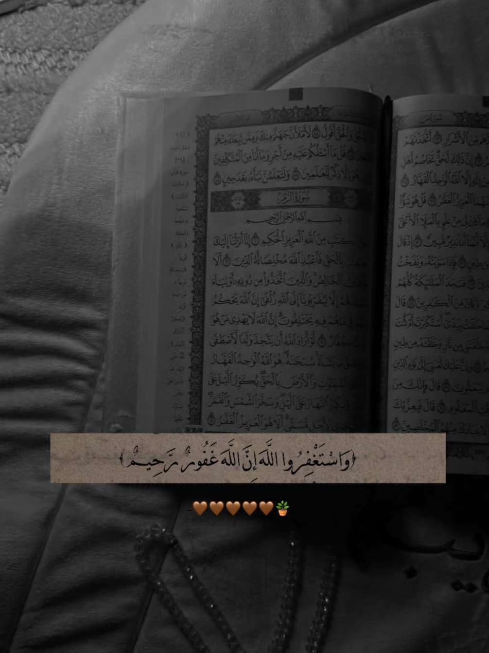 #قران_كريم #تصميم_فيديوهات🎶🎤🎬 #مشاهدات_تيك_توك #fyp #تصميمي❤️ 