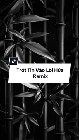 #CapCut Trót Tin Vào Lời Hứa - Tú Na #nhachaymoingay #mẫucapcut #binhne #fybシ 