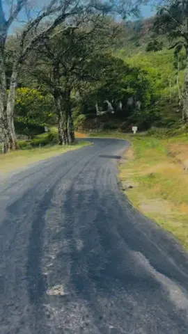 #පුනාගල #punagala #bandarawela #1millionaudition #_tik_tok🇱🇰🇱🇰 #viralvideo #highlight #environment #nature #srilanka #travel #foryoupage #tranding #srilankan_tik_tok🇱🇰🇱🇰 #bikeboy 