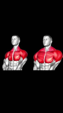 Don't just go heavy- control the movement for max shoulder activation 😉💪 #hustle4muscle #ShoulderGrowth #TimeUnderTension #fyp #ShoulderPress 