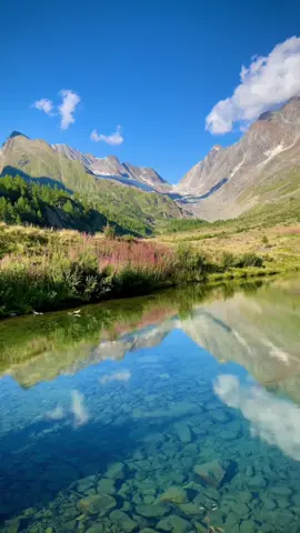 Cenários de tirar o fôlego, que parecem saídos de um conto de fadas: lagos de águas cristalinas, chalés aconchegantes, cachoeiras imponentes e montanhas que tocam o céu. 🌍 Essas paisagens ficam na Suíça, um dos destinos mais surpreendentes da Europa, perfeito para quem busca natureza, tranquilidade e experiências inesquecíveis. Dica 1: Alugue um carro ou pegue os trens panorâmicos suíços, as rotas revelam vilarejos escondidos, lagos turquesa e cachoeiras impressionantes. Dica 2: Explore os chalés alpinos e prove queijos artesanais direto das fazendas locais. Dica 3: Visite no verão para trilhas floridas e pastos verdes, ou no inverno para paisagens cobertas de neve. Dica 4: Não deixe de conhecer Lauterbrunnen, conhecido como o “vale das 72 cachoeiras”, um dos lugares mais mágicos do país. 💡 Viajar pela Suíça é viver a harmonia entre natureza intocada e o charme alpino. Um destino exclusivo para quem busca algo além do comum. #travelandtrips #viagemdossonhos #lugaresincríveis #explorandoomundo #dicasdeviagem      