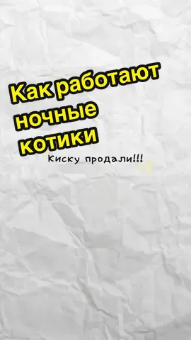 Котята поясняют как работают ночные бабочки (или кошечки)
