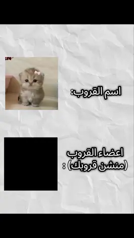 صحاب فكرة @『Shadow🇩🇿』『20k⌛️』  #مالي_خلق_احط_هاشتاقات🧢  #شعب_الصيني_ماله_حل😂😂  #تصميم_فيديوهات🎶🎤🎬 #foryoupage #fyp 