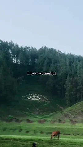 Abbottabad saplae 