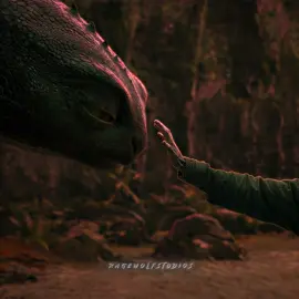 “He is a good Dragon” How to train your Dragon Edit