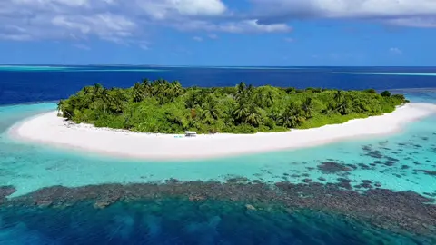 🏝️🧚 #maldives #island #view #tropical #paradise 