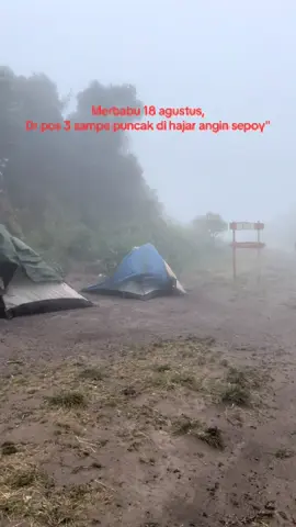Terlihat indah yg liat dr jauh, Yg di lokasi ngerasain penurunan suhu drastis 🥶  Diam bukan pilihan yg tepat kondisi seperti ini, turun atau tetap melangkah ke atas jika yakin badai akan berlalu 🔥 #awan #lenticular #mountenesia #merbabu #gunungindonesia #gunungmerbabu #badai #Hiking 