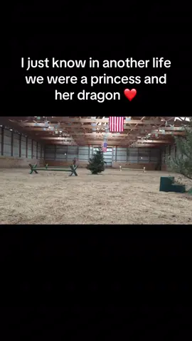 She has wings in this life too ❤️ #horses 