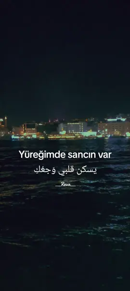 Beni biraz anlasana إفهمني ولو قليلاً  مقطع مترجم #اكسبلور #keşfet #explore #istanbul🇹🇷 #viralvideo 