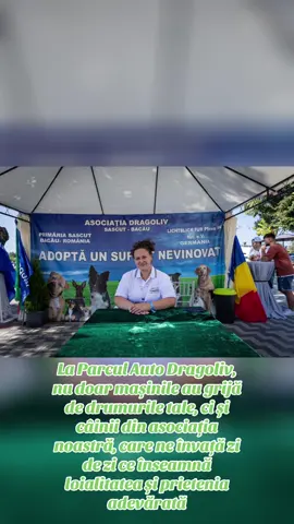Asociația de câini Dragoliv – loialitate și grijă, la fel ca drumurile noastre#dragoliv #caini #fyp #foruyou #viral@Parc Auto Dragoliv Sascut 