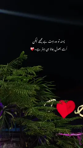 چاہتیں کِسی اور کو دے دے مولا، مُجھے بس زہنی سکون دے💔🥀 #aestheticvibes #foryoupage❤️❤️ #fyp 