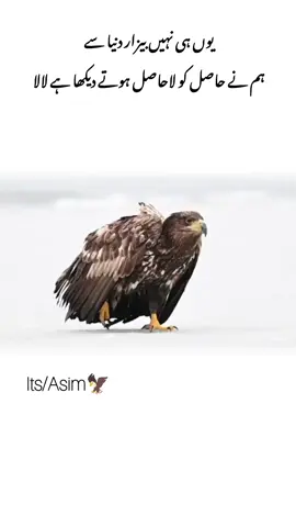 #unfreezemyacount #videoviral #growmyaccount 