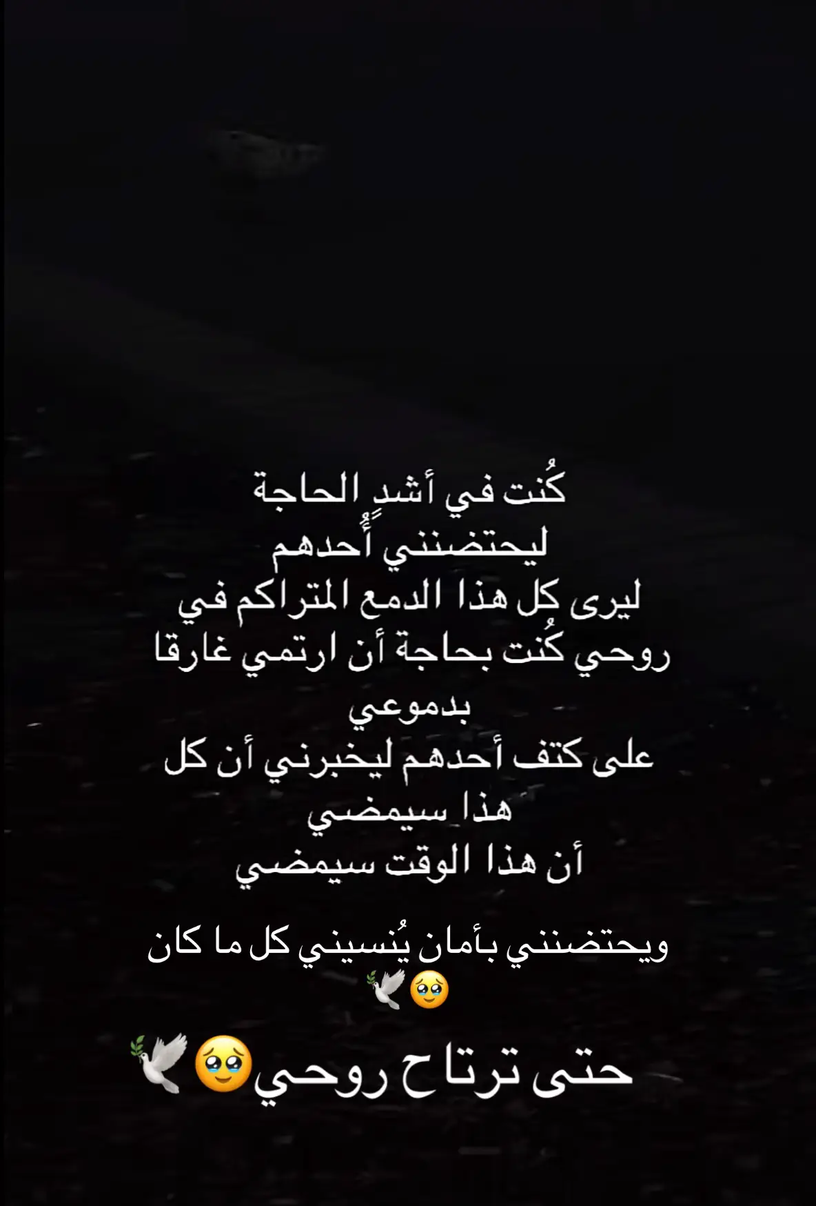 كُنت🥹🕊️🤝…  #tiktok #viral 