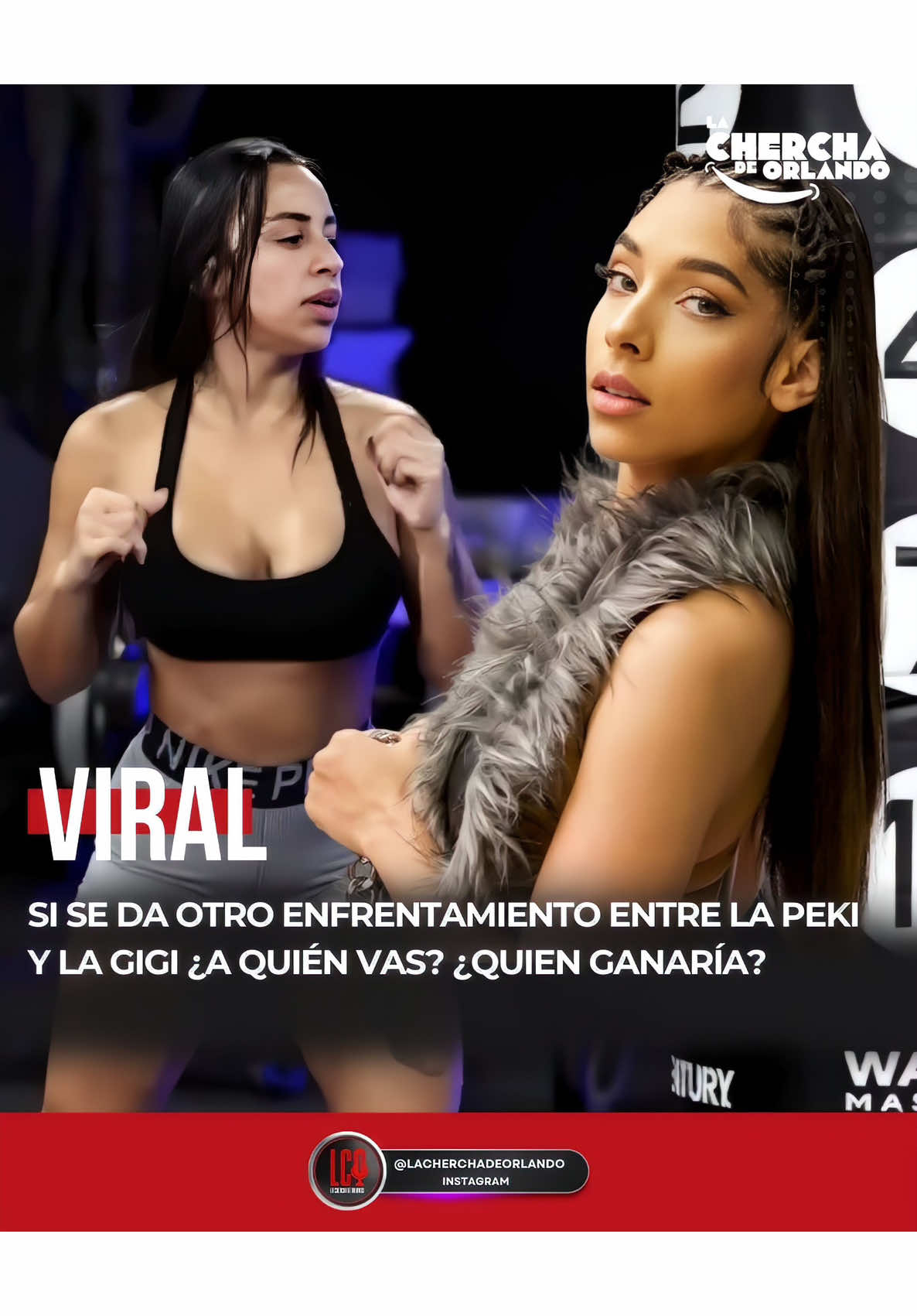 SI SE DA OTRO ENFRENTAMIENTO ENTRE @lapekipr Y @lagigird ¿A QUIÉN VAS? ¿QUIEN GANARÍA?🔥👇 COMPLETO EN YOUTUBE 🔴LA CHERCHA DE ORLANDO
