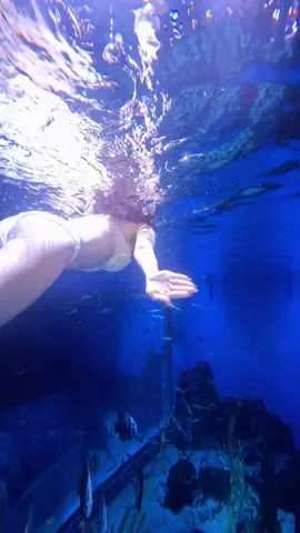 #Arile🧜‍♀️ #girlsxinh #fyp #foryou 