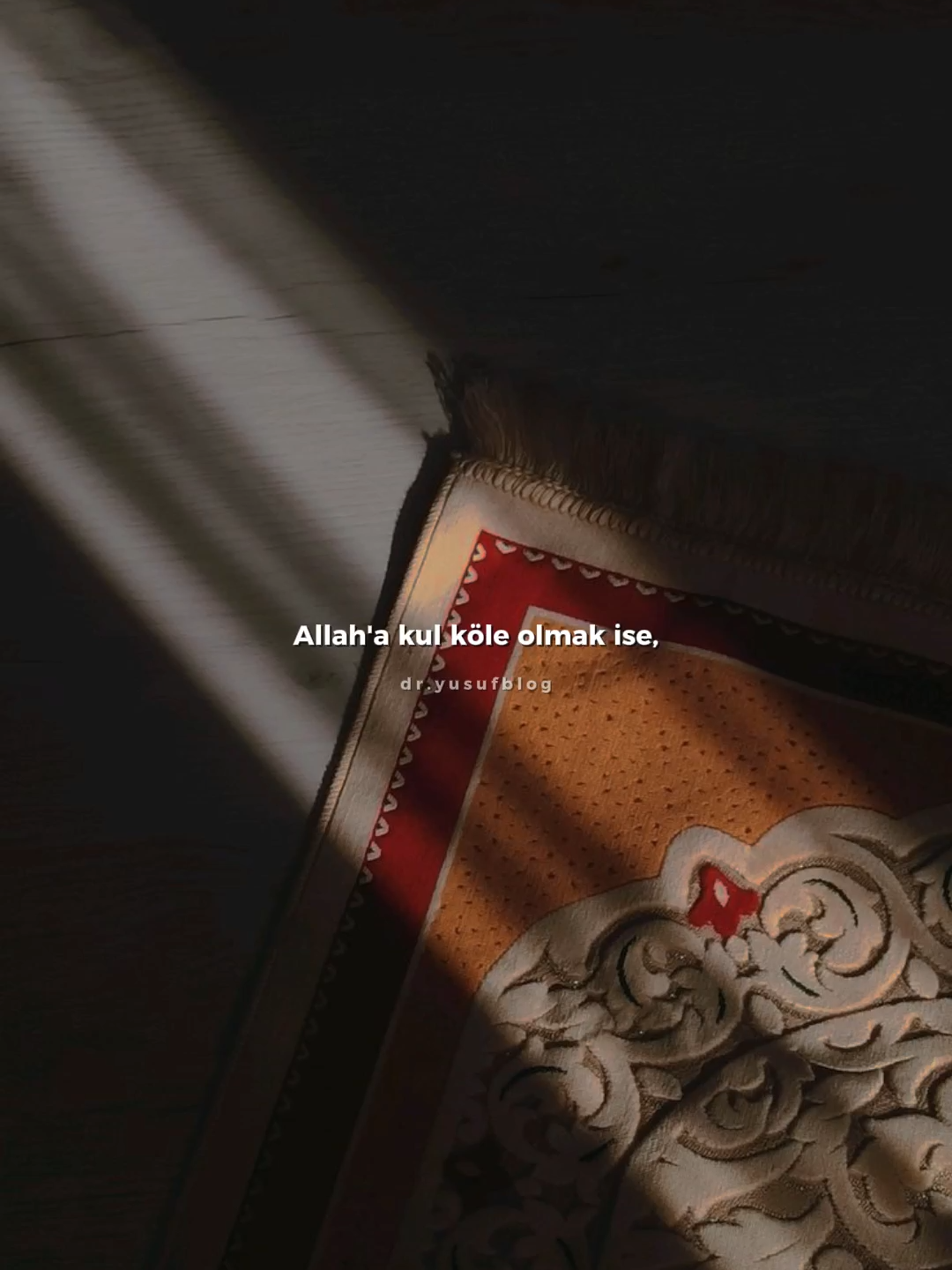 “Kim Allah’a tevekkül ederse, O ona yeter.” (Talâk, 65/3) “Eğer siz Allah’a hakkıyla tevekkül etseydiniz, sabah aç çıkıp akşam tok dönen kuşlar gibi rızıklanırdınız.” (Tirmizî, Zühd 33)