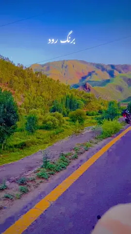 @𝄟✮͢🦋⃟≛⃝ HASNAINOOo𝄟✮⃝❤ @Wajid Khan @Shaukat Zia $z9🇬🇧 