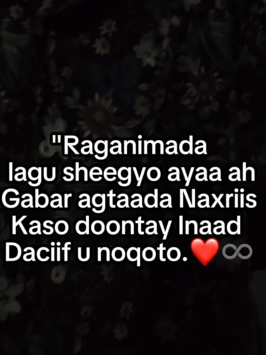 Galka alada kulaha 5 hashtag wax ka badan ma istcamali kartid 🤓💔  #fyp #foryou #fppppppppppppppppppp #foryoupage #fpp 
