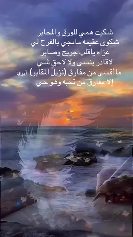 #الشعب_الصيني_ماله_حل😂😂 #حايل #حفرالباطن 