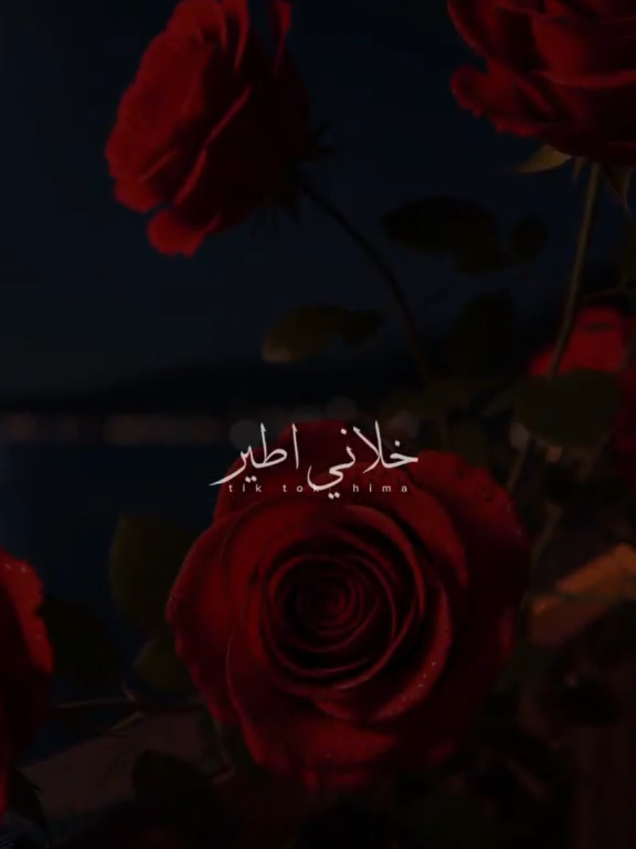 وياعيني الولا مجرم خطير.❤✨ #فريدة_عبيد_نظرة_عيونه #Team_AMC