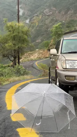 #العارضة_جازان 