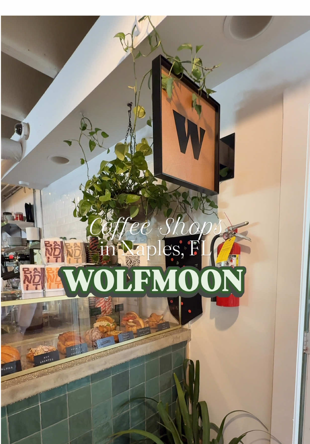 The cutest coffee shop 🌴🤭 #wolfmooncafe #naplesfl #florida #contentcreator 