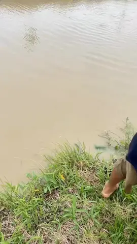 🐟🐟🐟🐟 #viral #hunting #fishinglife #fish #fishing 