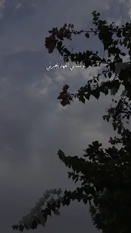 #CapCut ❤️#foryou #اكسبلورexplore #foryoupage #اكسبلور_تيك_توك 