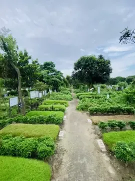 #TikTok #foryou ঢাকা বুদ্ধিজীবী কবরস্থান#. ⚰️⚰️⚰️🥲 