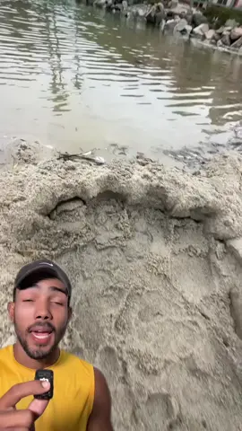 esto es lo que le pasó por hacer esto