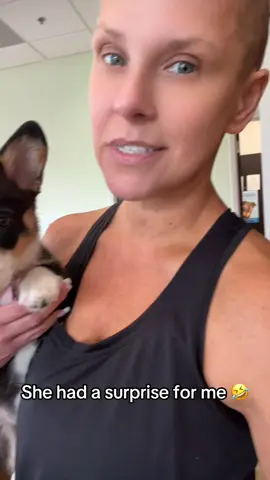 Can I pet that dog goes wrong 🤣. #fye #comedy #puppiesoftiktok #doggroomer #explore 
