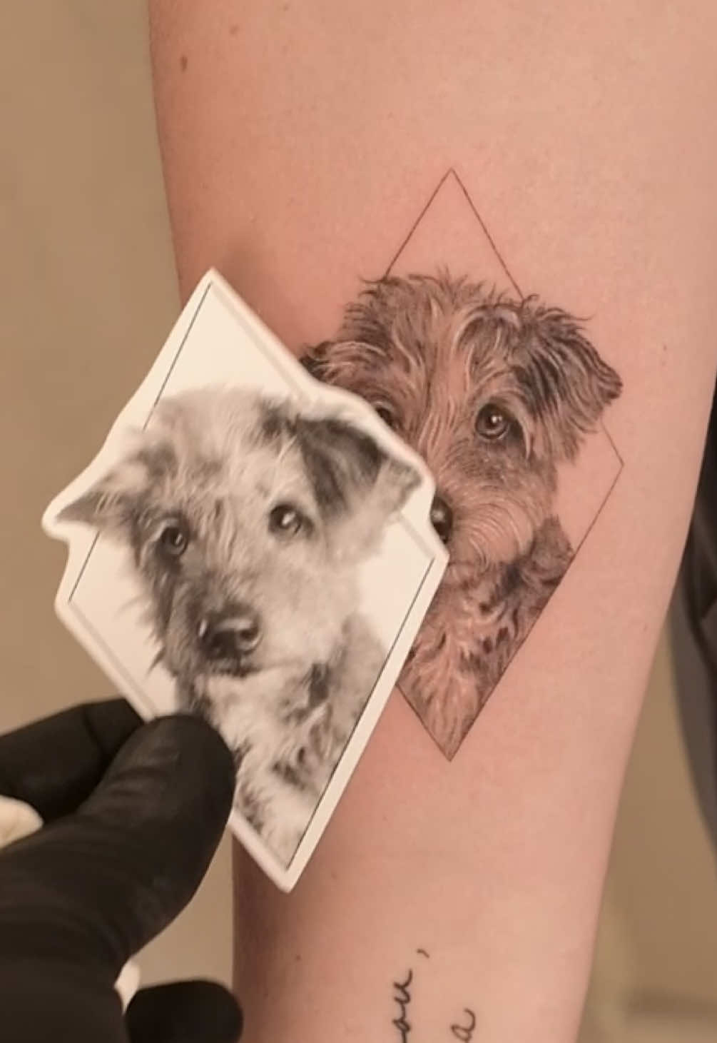 #terrier mix from today - booking is now open! #dogtattoo #pettattoo #dogs 