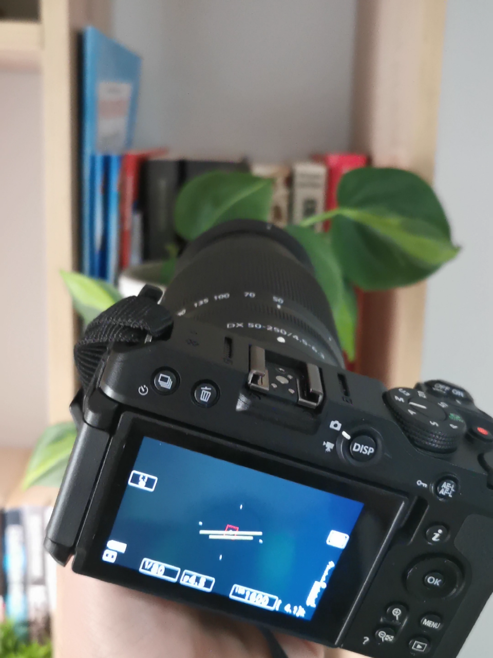 Day 3 of showing my photography to my 7 followers ☺️👍🏻 #nikon #nikonz30 #photography #nikonphotography 