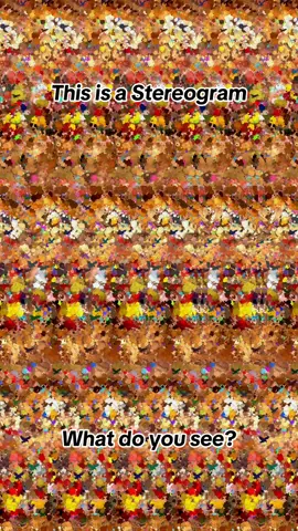 Field Patrol #stereogram #opticalillusion #eyetrick #challenge #puzzle