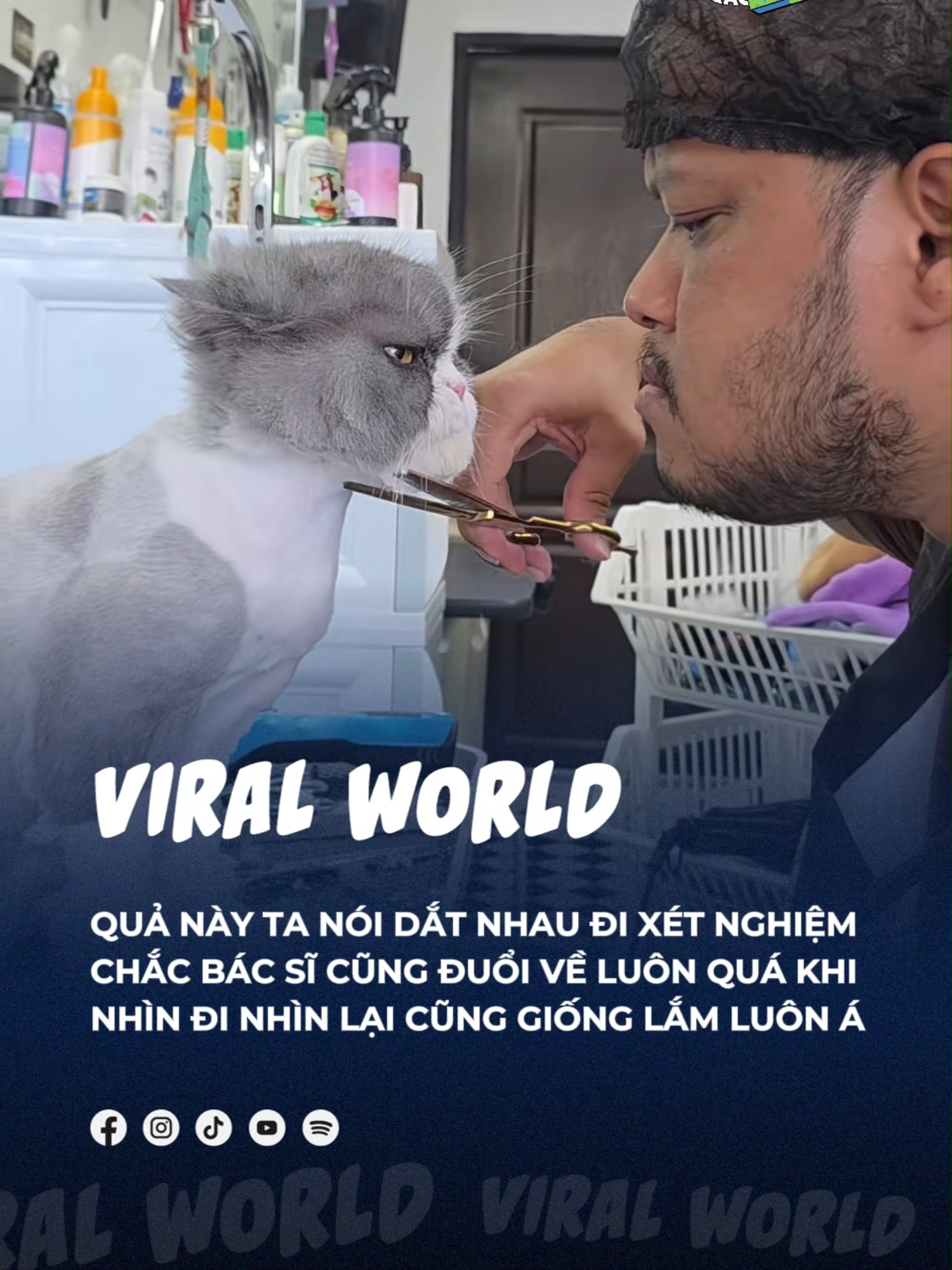 Khỏi cần xét nghiệm làm chi cho mất công =))) #beatviralworld #beatnetwork #bnetwork #beatvn #beatoflife