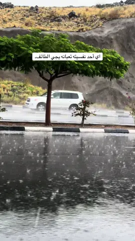 اجواء الطائف تود الروح وتغير النفسية #امطار_الطائف #امطار_الطائف_الان #امطار_اليوم_ياربي_لك_الحمد #اكسبلورexplore #ضباب 
