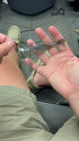 Turn any swimbait into a bladed presentation with the Treble Head Underspin. With this setup you increase your bait’s longevity and hookup ratio, all in one simple rig. #6thsensefishing #6thsense #fishinggear #fishing #fyp 