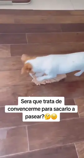 #humortiktok 