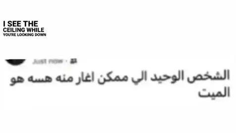 . #fyp #fypシ #foryou #viral #اكسبلور 