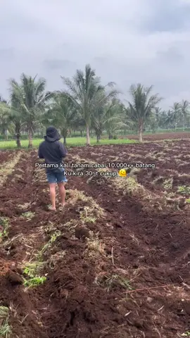 🧑🏼‍🌾🌶️ #penyanggatatanannegaraindonesia 