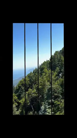#CapCut 