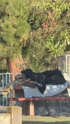 Chill vibe #homeless #losangeles #california #usa #laeveryday 