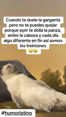 #CapCut #humorlatino #memes #memecut 