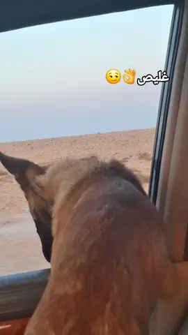 مشاهير#دبي🇦🇪 #ليبيا🇱🇾 #مصر🇪🇬 #مشاهير_تيك_توك_مشاهير_العرب😂😂♥ #الشعب_الصيني_ماله_حل😂😂 